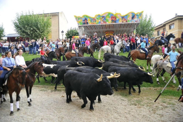 La localidad navarra acogió la feria del caballo este sábado 12 de octubre.