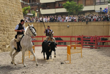 La localidad navarra acogió la feria del caballo este sábado 12 de octubre.