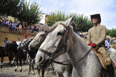 La localidad navarra acogió la feria del caballo este sábado 12 de octubre.