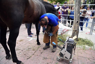 La localidad navarra acogió la feria del caballo este sábado 12 de octubre.