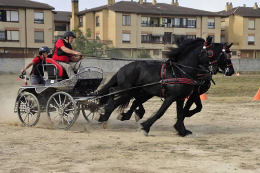 La localidad navarra acogió la feria del caballo este sábado 12 de octubre.