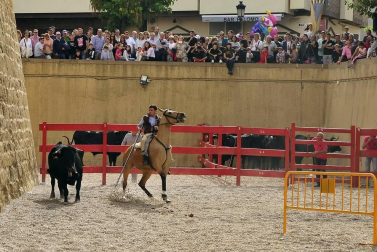 La localidad navarra acogió la feria del caballo este sábado 12 de octubre.