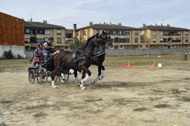 La localidad navarra acogió la feria del caballo este sábado 12 de octubre.