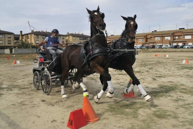 La localidad navarra acogió la feria del caballo este sábado 12 de octubre.