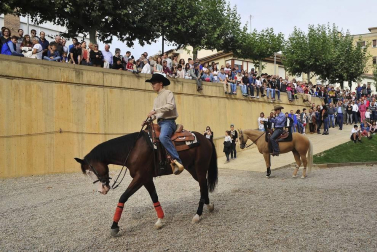 La localidad navarra acogió la feria del caballo este sábado 12 de octubre.