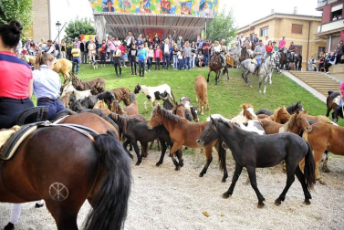 La localidad navarra acogió la feria del caballo este sábado 12 de octubre.