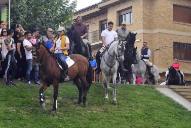 La localidad navarra acogió la feria del caballo este sábado 12 de octubre.