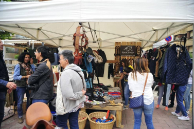 La localidad navarra acogió la feria del caballo este sábado 12 de octubre.
