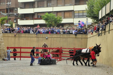 La localidad navarra acogió la feria del caballo este sábado 12 de octubre.