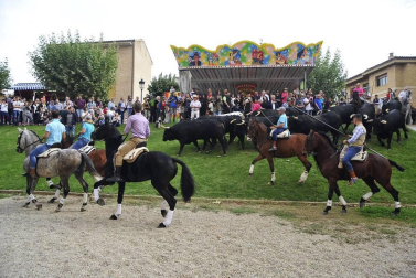 La localidad navarra acogió la feria del caballo este sábado 12 de octubre.