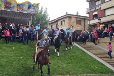 La localidad navarra acogió la feria del caballo este sábado 12 de octubre.