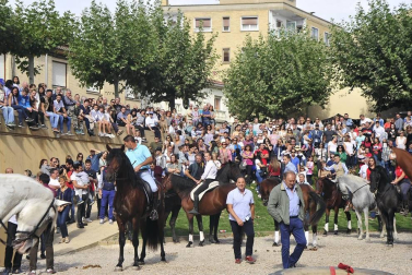 La localidad navarra acogió la feria del caballo este sábado 12 de octubre.