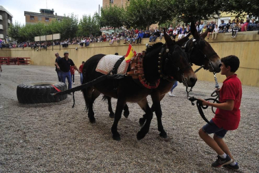 La localidad navarra acogió la feria del caballo este sábado 12 de octubre.