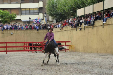 La localidad navarra acogió la feria del caballo este sábado 12 de octubre.