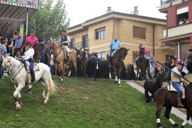 La localidad navarra acogió la feria del caballo este sábado 12 de octubre.