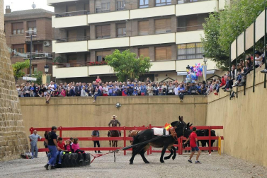La localidad navarra acogió la feria del caballo este sábado 12 de octubre.