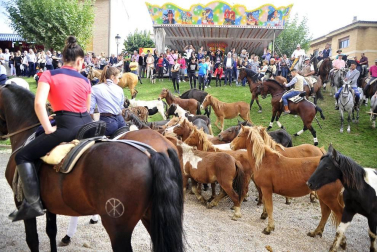 La localidad navarra acogió la feria del caballo este sábado 12 de octubre.