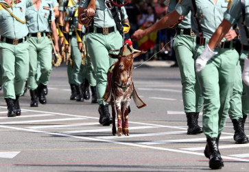 Los reyes Felipe y Letizia, acompañados de sus hijas, Leonor y Sofía, han llegado poco antes de las 11.00 horas de este sábado a la Plaza de Lima de Madrid para presidir el desfile del Día de la Fiesta Nacional.