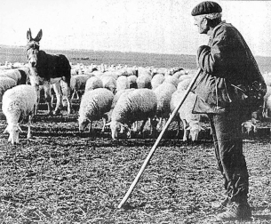 Se cumplen 75 años de las escamaruzas e incursiones de la lucha maqui en la comunidad foral