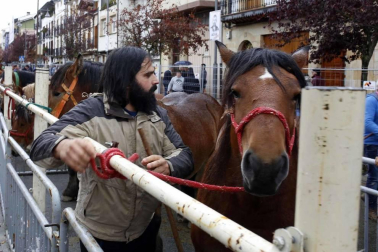 Todas las fotos de las ferias de Alsasua de este domingo 20 de octubre