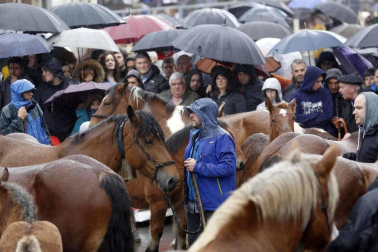 Todas las fotos de las ferias de Alsasua de este domingo 20 de octubre