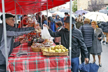Todas las fotos de las ferias de Alsasua de este domingo 20 de octubre