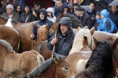 Todas las fotos de las ferias de Alsasua de este domingo 20 de octubre