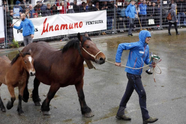 Todas las fotos de las ferias de Alsasua de este domingo 20 de octubre