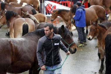 Todas las fotos de las ferias de Alsasua de este domingo 20 de octubre