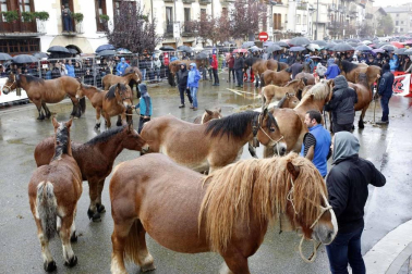 Todas las fotos de las ferias de Alsasua de este domingo 20 de octubre