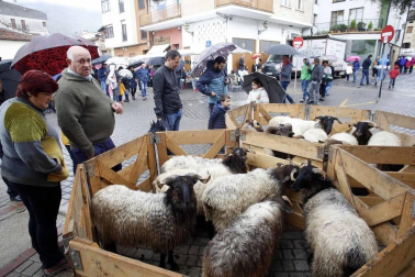Todas las fotos de las ferias de Alsasua de este domingo 20 de octubre