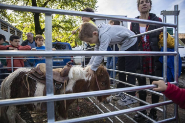 Gana visitantes año tras años con su ganado autóctono y gastronomía.