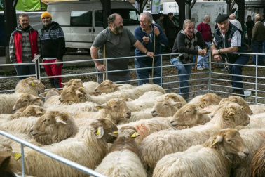 Gana visitantes año tras años con su ganado autóctono y gastronomía.