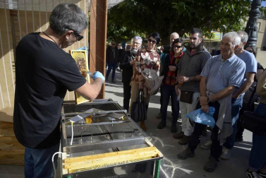 Todas las fotos de las ferias de Tafalla de este sábado, 26 de octubre