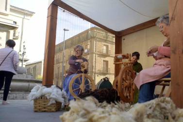 Todas las fotos de las ferias de Tafalla de este sábado, 26 de octubre