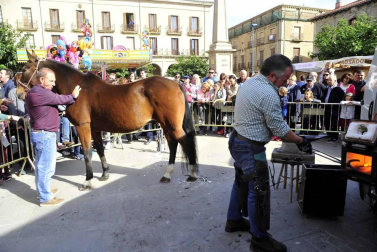Fotos de las ferias de otoño de Tafalla 2019