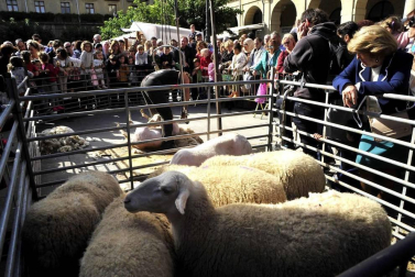 Fotos de las ferias de otoño de Tafalla 2019