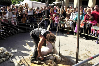 Fotos de las ferias de otoño de Tafalla 2019