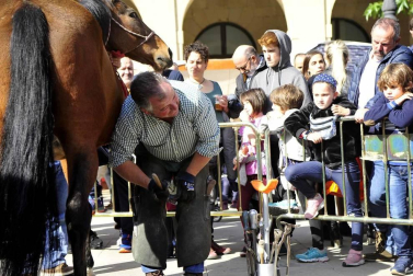 Fotos de las ferias de otoño de Tafalla 2019