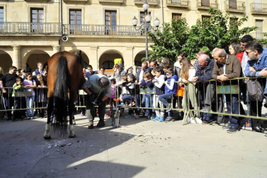 Fotos de las ferias de otoño de Tafalla 2019