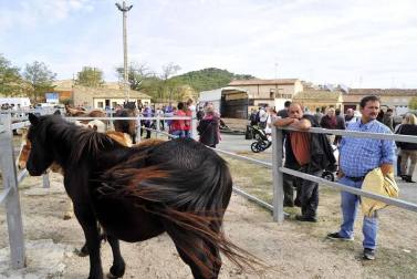 Fotos de las ferias de otoño de Tafalla 2019