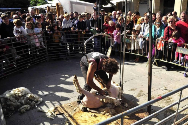 Fotos de las ferias de otoño de Tafalla 2019