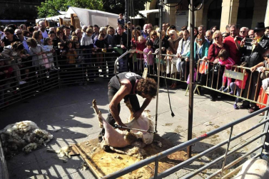 Fotos de las ferias de otoño de Tafalla 2019