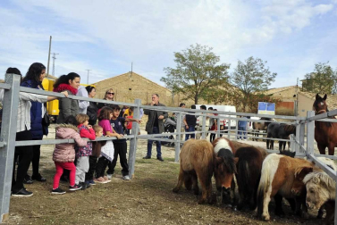 Fotos de las ferias de otoño de Tafalla 2019