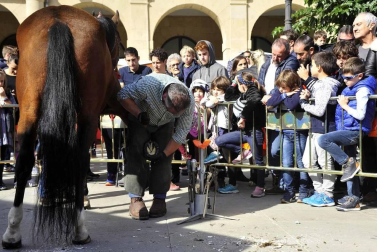 Fotos de las ferias de otoño de Tafalla 2019
