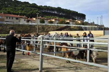 Fotos de las ferias de otoño de Tafalla 2019