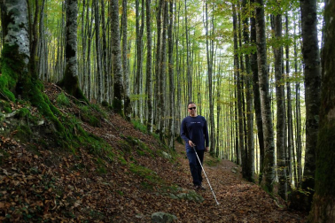 Irati a ciegas: ¿Es posible disfrutar de un bosque sin verlo?