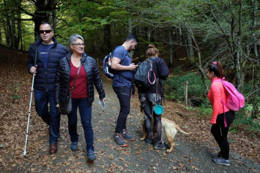 ¿Es posible disfrutar de un bosque sin verlo?