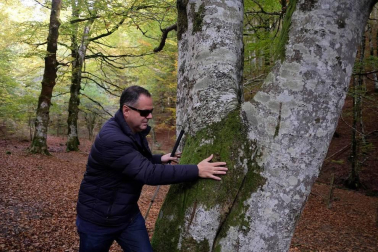 ¿Es posible disfrutar de un bosque sin verlo?