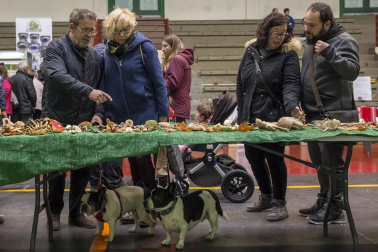 Día del Hongo en Larraintzar